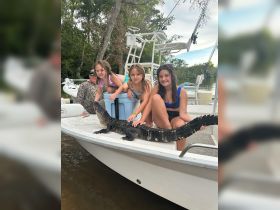 Three children interact with an alligator on a boat, showcasing a unique wildlife experience. This thrilling encounter highlights the adventurous spirit of exploring nature.