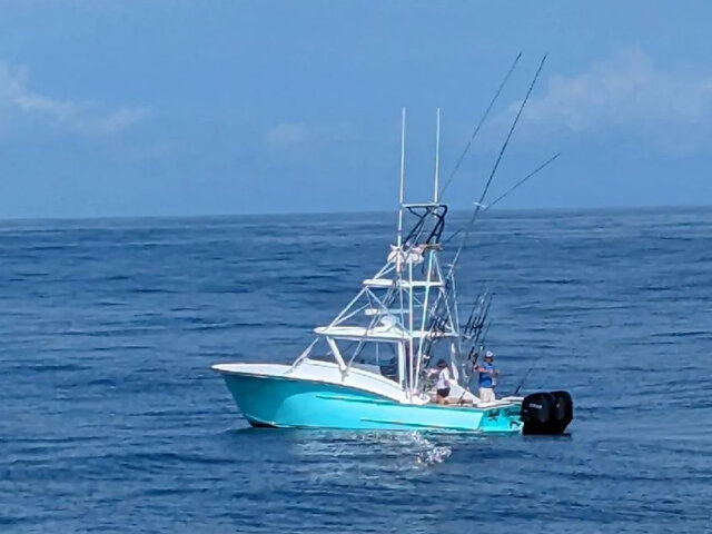 Listing image 1071679