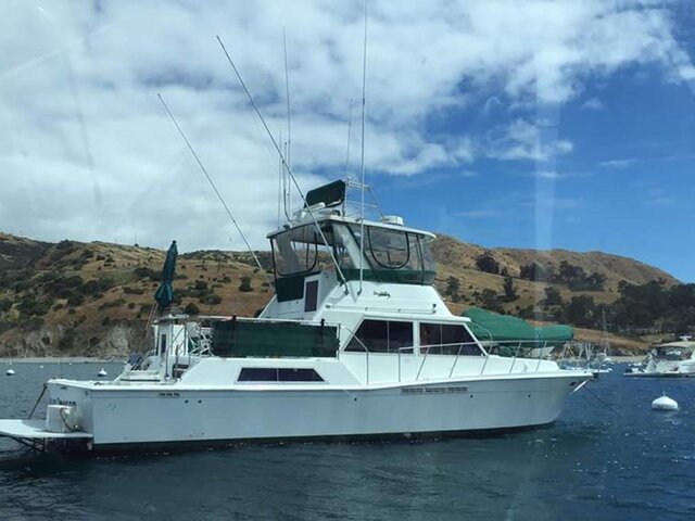 Listing image 1071692