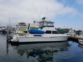 A sleek yacht docked at the marina, showcasing its elegant design and readiness for adventure on the water.