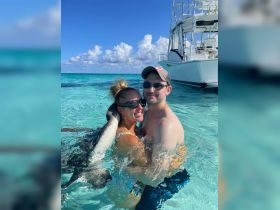A couple joyfully interacts with dolphins in crystal-clear waters, creating unforgettable memories during their aquatic adventure.