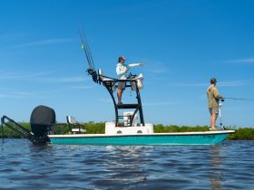 Two anglers enjoy a day of fishing on a boat, showcasing the thrill of outdoor adventures on the water.