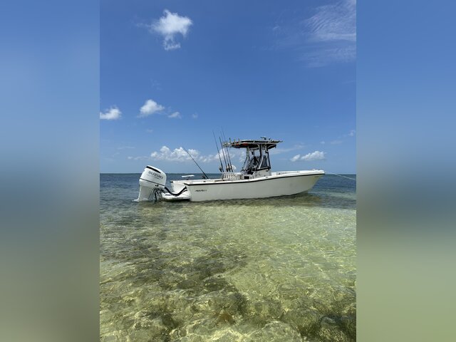 Listing image 1071782