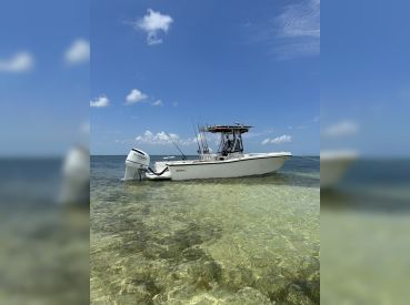 Big Boii Charters