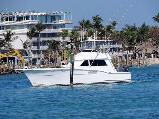 Listing image 1086610
