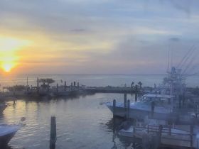 A serene sunset view over a harbor filled with boats, creating a picturesque scene perfect for evening cruises or fishing trips.