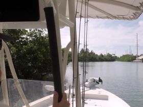 A view from the helm of a boat, showcasing the console and steering as it navigates through a serene waterway, perfect for fishing or leisurely cruising.
