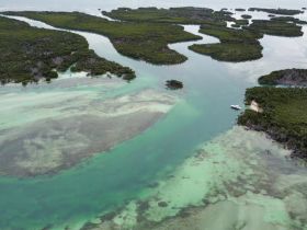A stunning aerial view of a winding coastline surrounded by lush mangroves and clear turquoise waters, showcasing the beauty of nature and ideal for exploration.