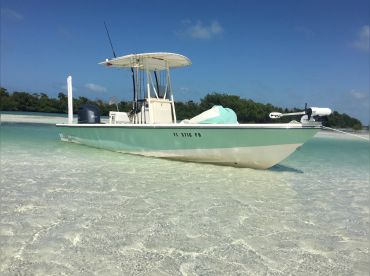 Live Action Sportfishing 2