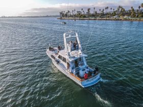 A lively group enjoys time aboard the 'Bluebill' as it navigates through scenic waters, perfect for social gatherings and adventure on the sea.