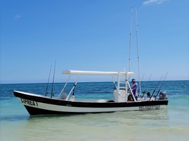 Expedition Tours – Ciprea I