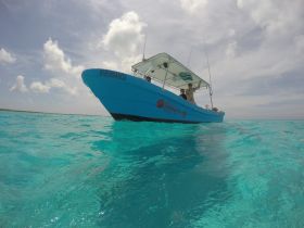 A vibrant blue boat navigates through crystal-clear waters, with guests enjoying the scenic ocean view — perfect for adventure seekers and water enthusiasts.