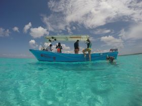 A group prepares for snorkeling from a vibrant blue boat in crystal-clear turquoise waters — an exciting adventure in the ocean.