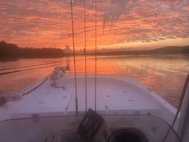 Listing image 1072516
