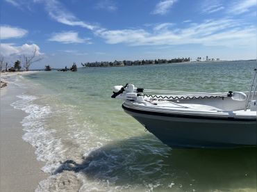Reel Adventures