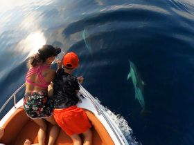 A child and an adult enjoy a close encounter with dolphins while on a boat, capturing the moment on camera — a thrilling wildlife experience on the water.