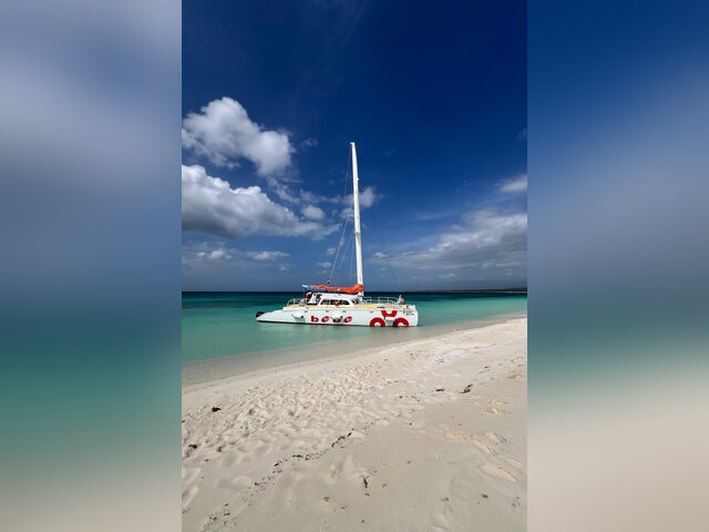 Listing image 1169311