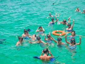 A lively group enjoys snorkeling in crystal-clear waters, showcasing the excitement of underwater exploration and fun in the sun.