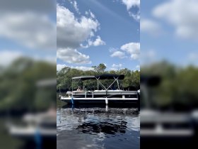 A lively group enjoys a day on a pontoon boat navigating through serene mangroves, perfect for family outings or group adventures on the water.