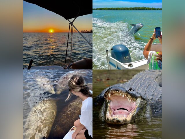 Listing image 1072878