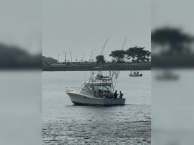 A group of anglers enjoys a fishing trip aboard a boat, showcasing the excitement of on-water adventures.