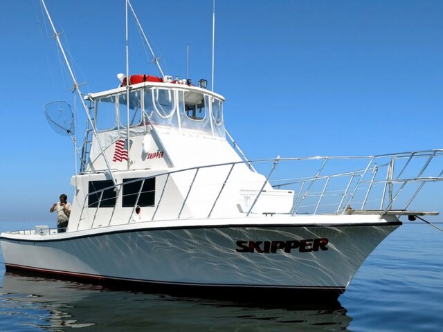 Listing image 1076896