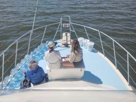 A group of guests relaxes on the deck of a boat, enjoying the sun and water views — perfect for a day of leisure on the water.
