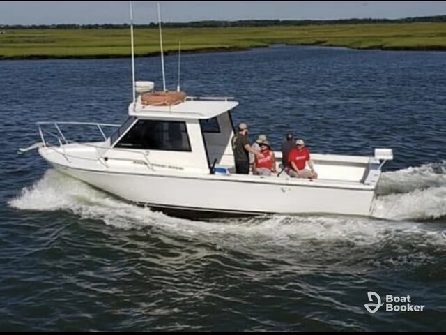 Listing image 1075182