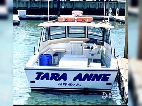 The 'Tara Anne' boat is docked in Cape May, NJ, showcasing its sleek design and inviting features, perfect for fishing or leisure outings.