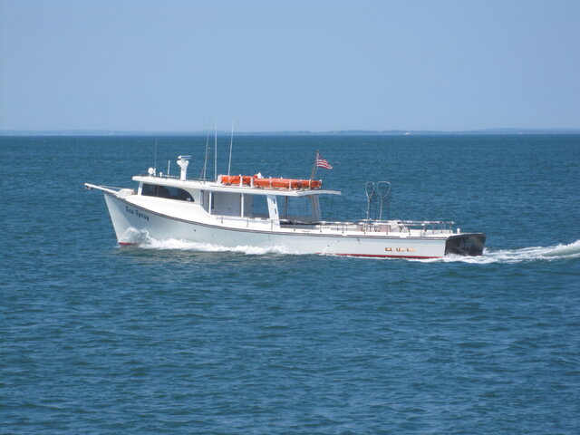 Listing image 1083710