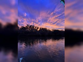 A stunning sunset paints the sky with vibrant colors, reflecting beautifully on the water — a perfect moment for nature lovers and photographers.