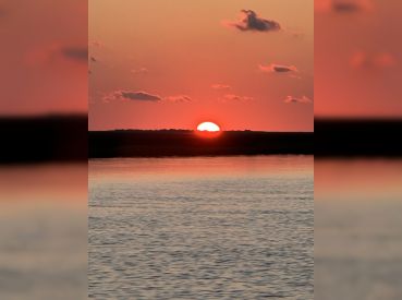 Cajun Outcast Inshore Charters