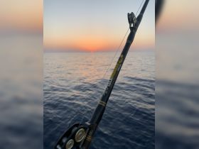 A fishing rod is silhouetted against a stunning sunset over the ocean, capturing the serene beauty of a fishing trip at dusk.
