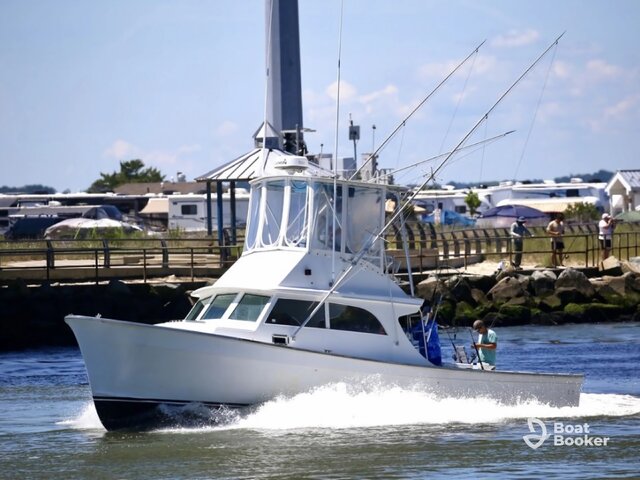 Listing image 1075162