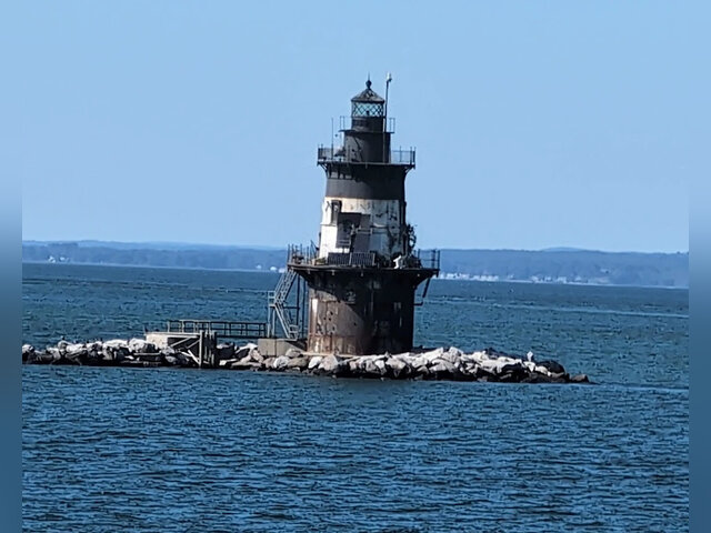 Listing image 1095419