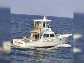 Charter Image