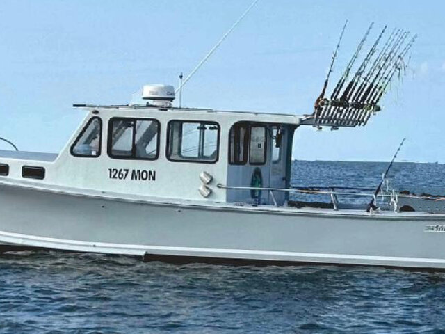 Listing image 1077796