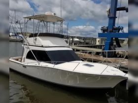 Charter Image