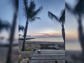 A serene beach view at sunset, framed by palm trees and picnic tables, creating a tranquil atmosphere perfect for relaxation.