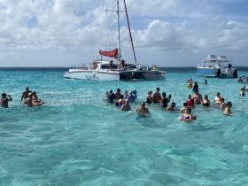 A lively group enjoys a sandbar stop, swimming in crystal-clear waters with a catamaran in the background — perfect for a fun day on the water.