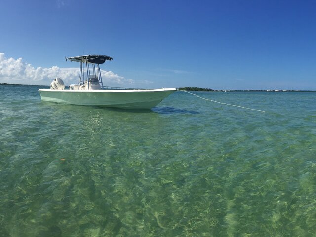 Listing image 1073352