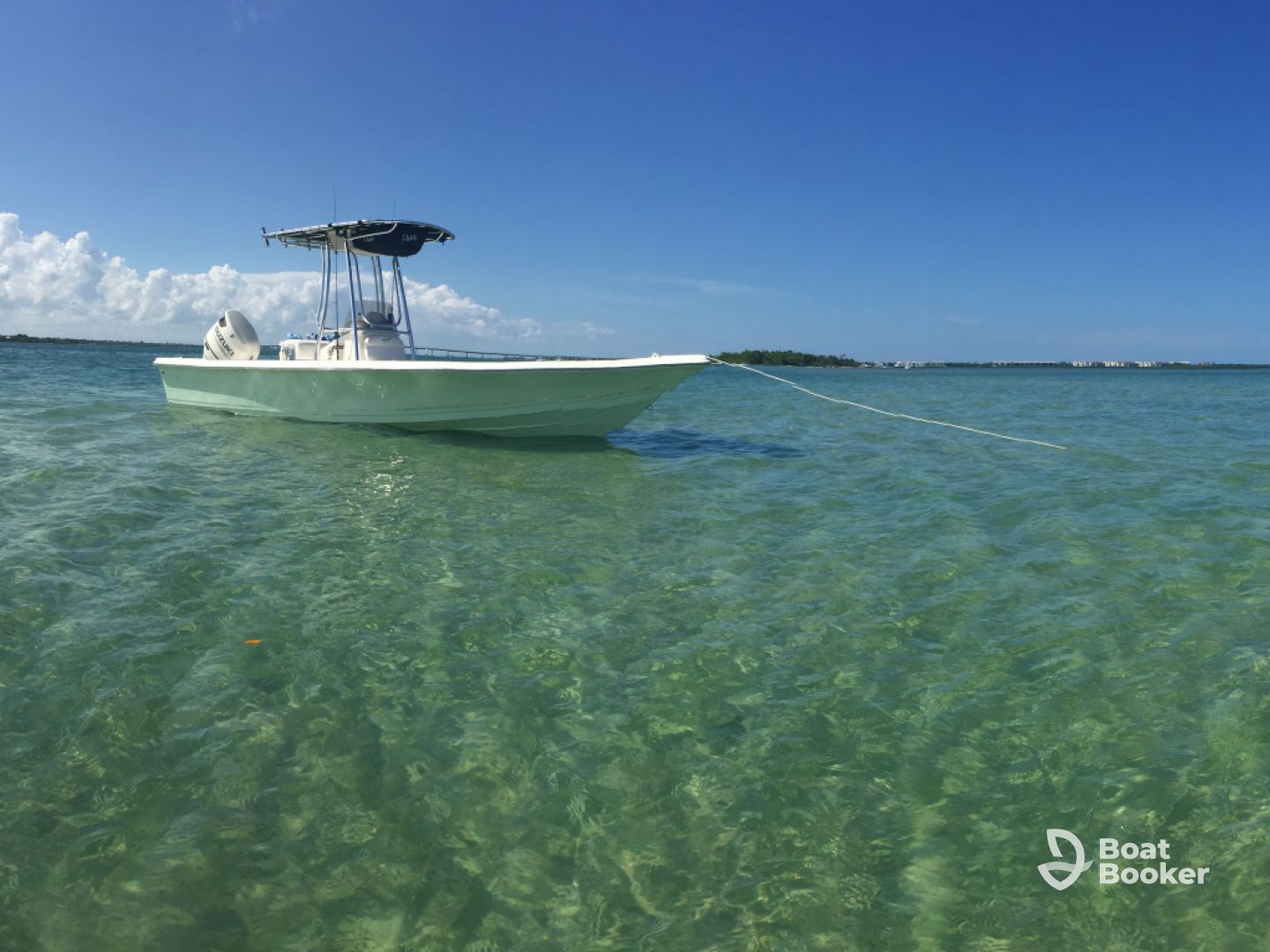 A Dare Inshore