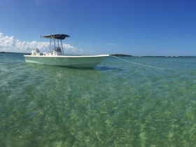 A sleek speedboat anchored in crystal-clear waters, showcasing the perfect vessel for a day of adventure on the water.