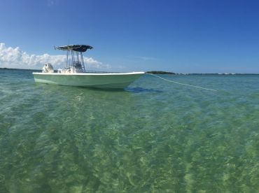 A Dare Inshore