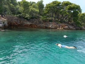 Two individuals enjoy snorkeling in crystal-clear waters surrounded by lush greenery — a perfect escape into nature.
