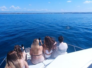 Three islands private boat tour