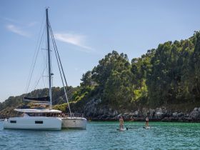 Two paddleboarders enjoy a sunny day on the water near a catamaran, surrounded by lush greenery — a perfect scene for adventure and relaxation.