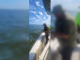 A fisherman casts his line from the side of a boat, enjoying a day of fishing on the open water under a bright blue sky.