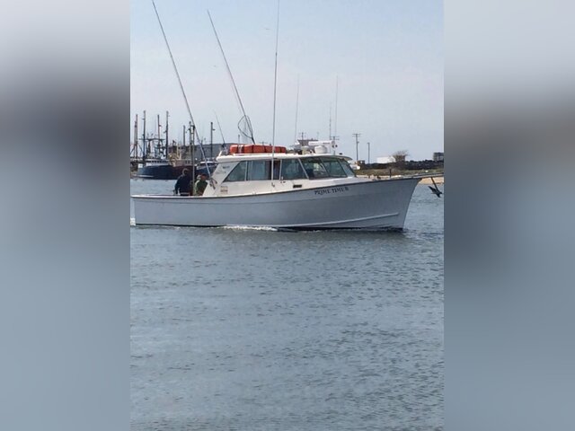 Listing image 1086600