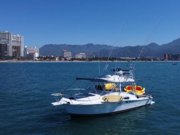 Mitchell Y Tapia SA De CV – Beluga's